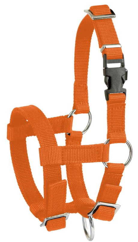 Produkte Alpaka-Halfter orange