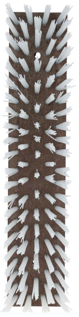 Producten veeborstel nylon wit 50x10cm