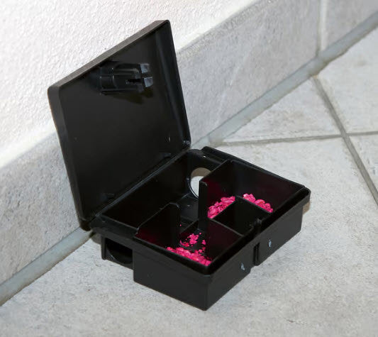Produkte Futterbox plus Schlüsselblockbox Peti Mouse