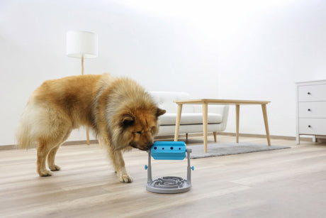 Produkte Snackrolle Anti-Schling grau blau 27x32x20 26 cm