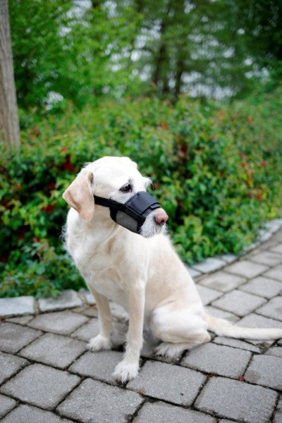 Produkte Nylonmaulkorb für Hunde, Größe L, schwarz
