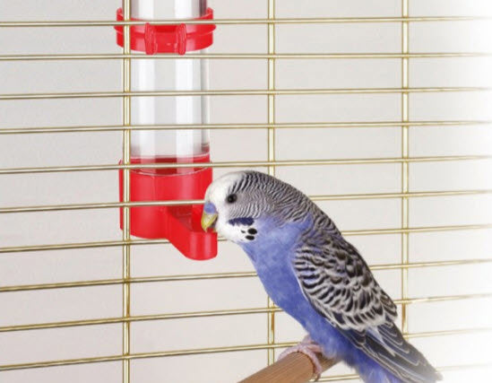 Kerbl Produkte Vogeltränke 16 cm 130 ml