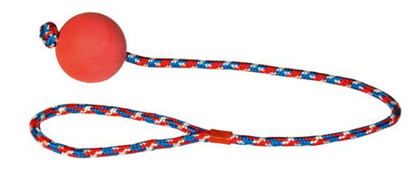 Produkte Schaumgummiball am Seil 60cm