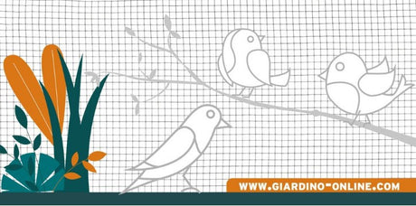 Giardino Produkte Gitter verschweißt verzinkt 19 1 45 1 01m x 25m