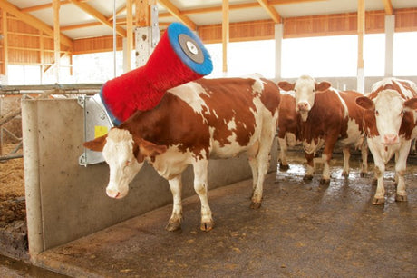 Produkte Happycow Kuhbürste uno horizontal