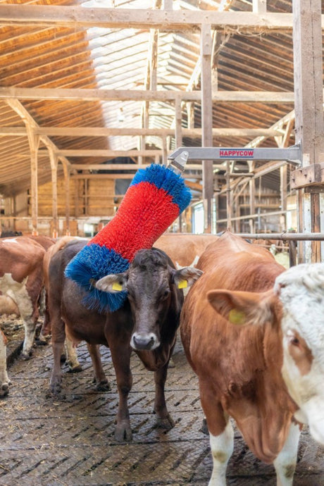 Produkte Happycow Viehbürste Freemaxi