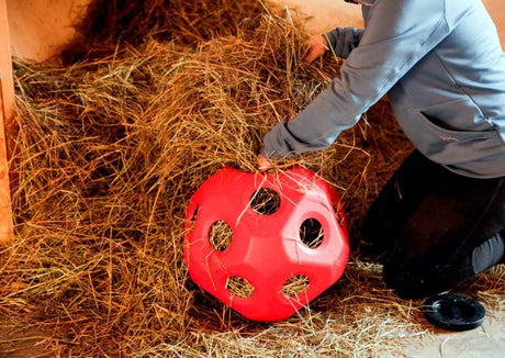 Produkte Lebensmittel Spielball rot
