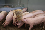 Producten hooiruif voederkorf groenvoertrog gegalvaniseerd 50cm
