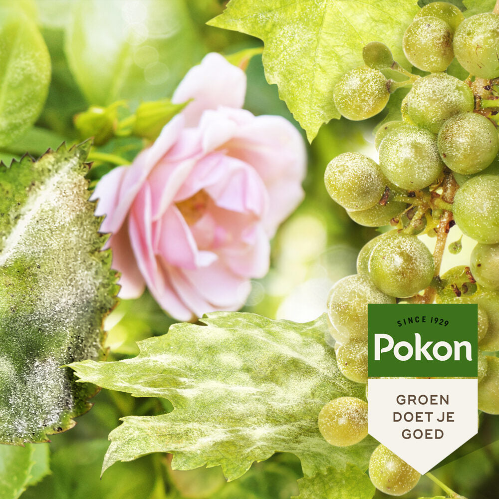 Pokon Bio-Behandlung für widerstandsfähige und gesunde Rosen Spray 750 ml