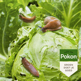 Pokon Bio gegen Schnecken Granulat 900gr
