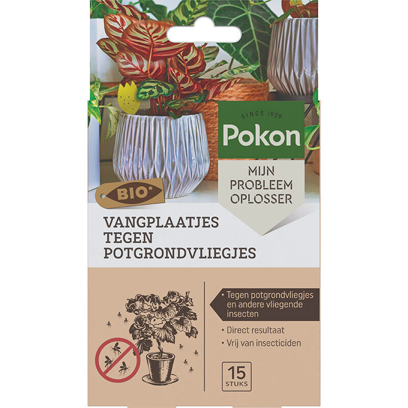 Pokon Bio-Klebefallen gegen Blumenerdefliegen 15 Stk