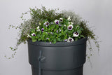 Produkte Regentonne Gartenpflanzgefäß 230l