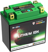 Skyrich Lifepo4-Batterie hjb9q-fp. Batterie hjb9-fpq-swi Lithium