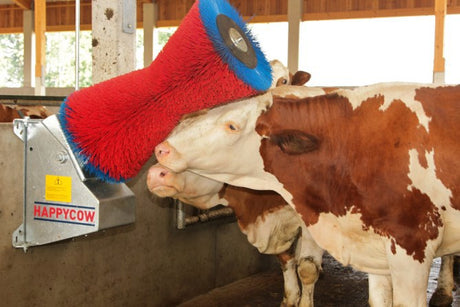 Produkte Happycow Kuhbürste uno horizontal