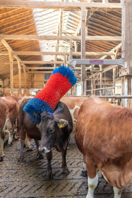 Produkte Happycow Viehbürste Freemaxi