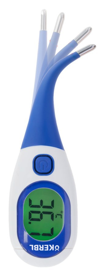 Produkte Digitalthermometer Bigscreen Flex