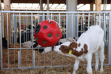 Produkte Lebensmittel Spielball rot