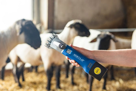 Aesculap Econom Produkte Schafschermaschine Econom Nova Akku Plus1 Akku
