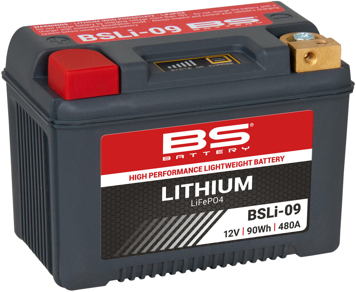 BS-Batterie Lifepo4-Batterie BSLI-09. Batterie li09 bs Lithium