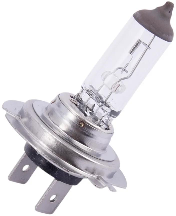 Spahn H7 Scheinwerferlampe Scheinwerferlampe 12V 55W H7 50+ px26d