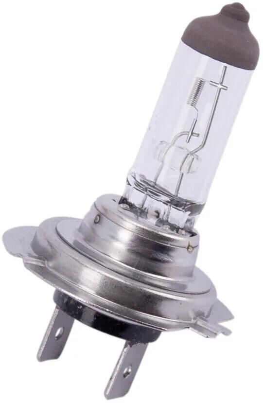 Spahn H7 Scheinwerferlampe Scheinwerferlampe 12V 55W H7 Longlife px26d