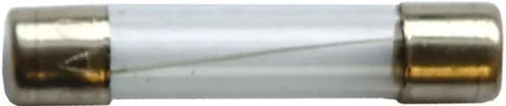 Spahn Glassicherung Glassicherungen 8a 6x32 mm (10 Stück)