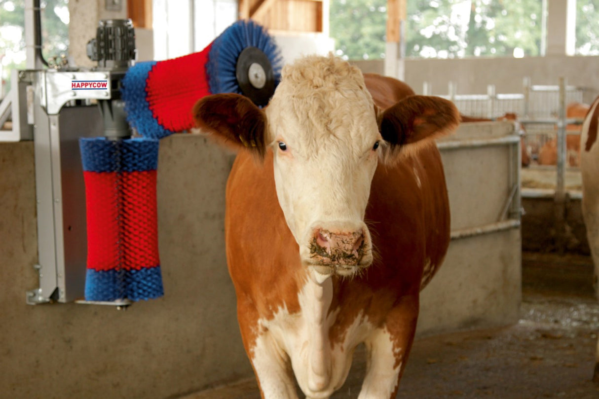 Happycow Kuhbürsten-Duo