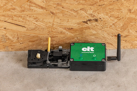 Produkte Mausefalle Smart Cit Mousestop