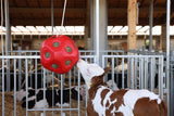 Produkte Lebensmittel Spielball rot