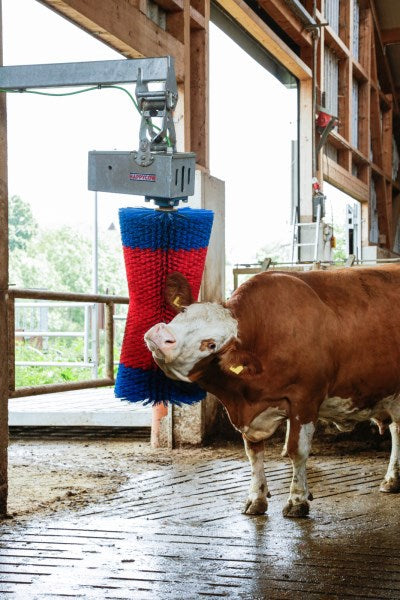 Produkte Happycow Kuhbürste Maxiswing