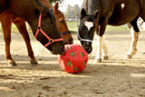 Produkte Lebensmittel Spielball rot