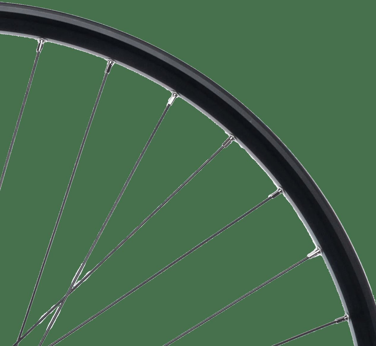 Contec Hinterrad Taurus 21 + Shimano FH-QC400. hr 29 aluminium hk sw 8-1 sp.sw 2,00