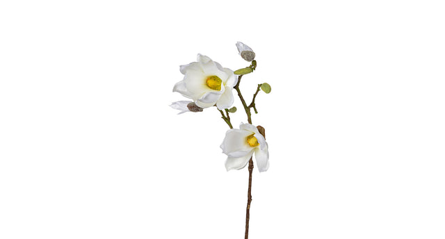 Magnolia l73cm wit