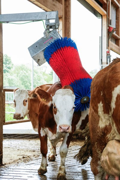 Produkte Happycow Kuhbürste Maxiswing