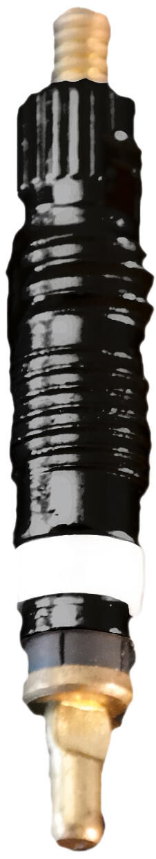 Schwalbe-Ventileinsatz für SV-Sclaverand-Ventil