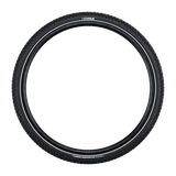 Schwalbe