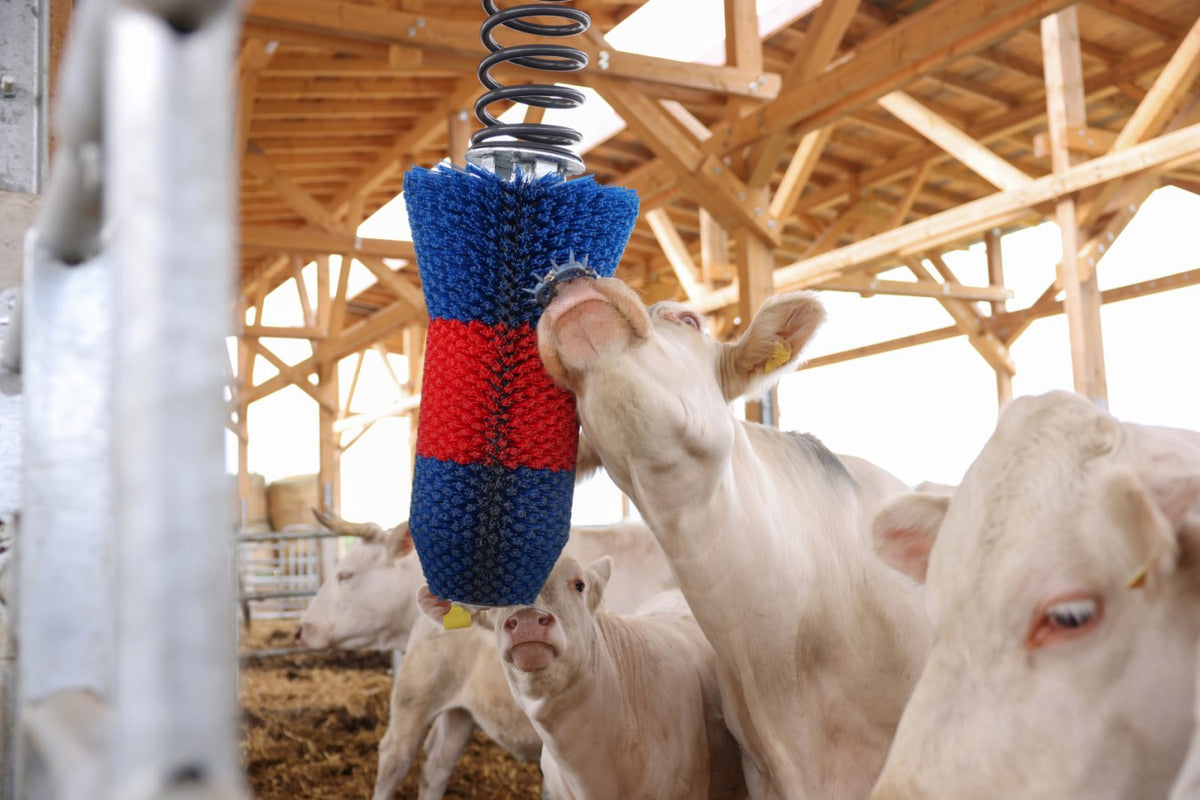 Produkte Happycow Rinderbürste Flexiswing
