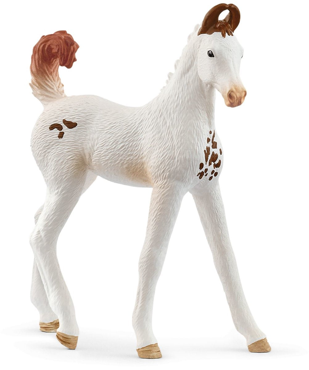 Schleich 14896 Marwari-Fohlen | 5 Stück
