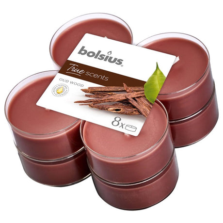 Bolsius | 6 Stück