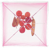 Fliegengitter 45 x 45 cm 4 verschiedene Farben