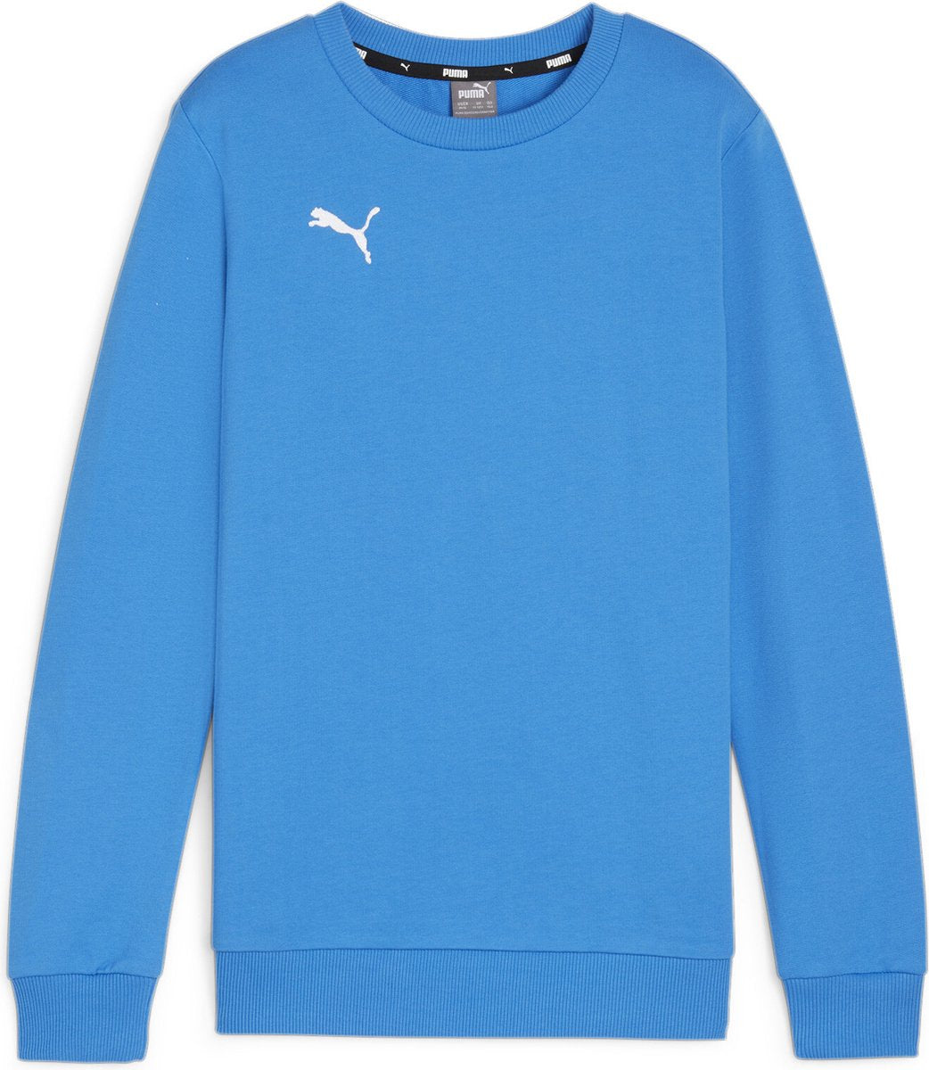 Puma TeamGoal Casuals Crew Neck Sweat Jr Jungen Sportpullover – Ignite Blue-White