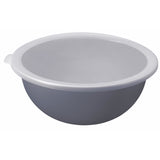 Rotho Schüssel mit Deckel 4,8 l Horizontblau | 2 Stk