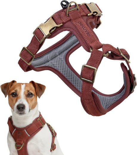 Peluvio Lord – Hundegeschirr aus Leder – Größe S – ergonomisches Schutzgeschirr aus Naturleder – Komfortkontrolle – langlebige Kupferschnallen