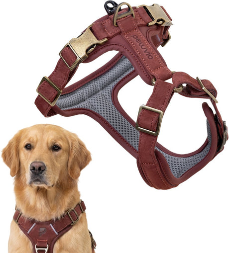 Peluvio Lord – Hundegeschirr aus Leder – Größe L – ergonomisches Schutzgeschirr aus Naturleder – Komfortkontrolle – langlebige Kupferschnallen