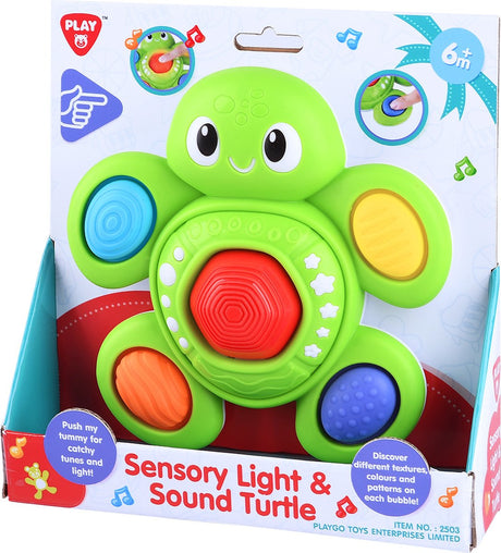 Playgo Baby-Sensorschildkröte mit Licht und Ton