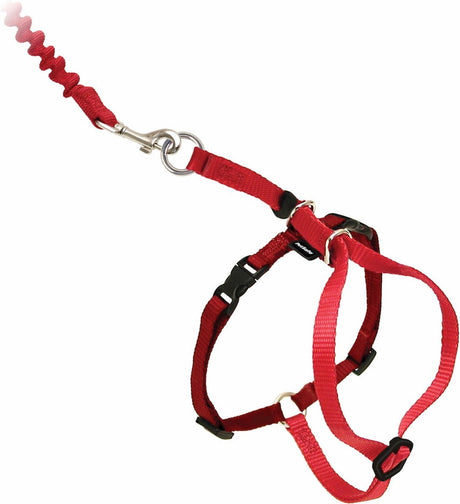 Petsafe Easy Walk Katzengeschirr mit Bungee-Leine – Geschirr zum Gassigehen mit Ihrer Katze – Rot oder Blau – S M L – Farbe: Rot, Größe: Mittel 27–36 cm