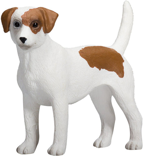 Mojo Ackerland Jack Russell Terrier – 387286