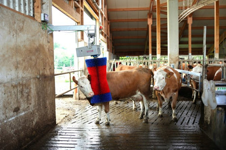 Produkte Happycow Kuhbürste Maxiswing