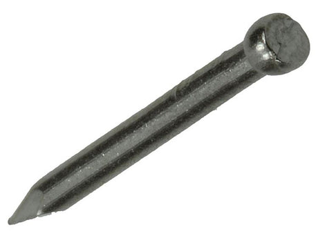 Mack 1020024 - nagel ronde kop inox a2 100 st 1,6 x 20 mm | 5 stuks