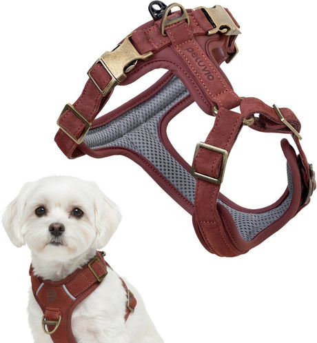 Peluvio Lord – Hundegeschirr aus Leder – Größe XS – ergonomisches Schutzgeschirr aus Naturleder – Komfortkontrolle – langlebige Kupferschnallen